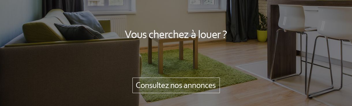 annonces locations immobilières